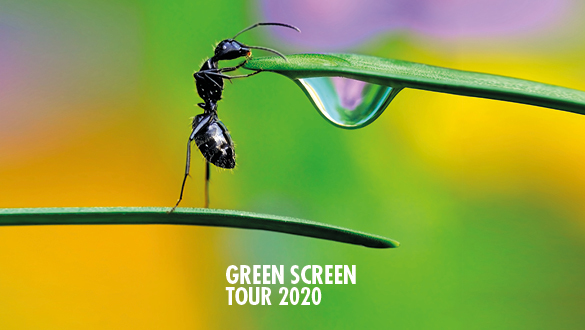 Green Screen Film Tour 2020